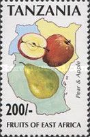 Pear, apple