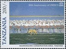 Ngorongoro Conservation Area, Tanzania