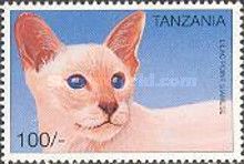 Lilac Point Siamese