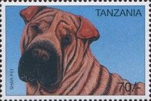 Shar-pei