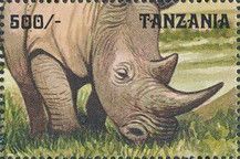 African Rhinoceroses