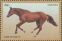 English Thoronghbred