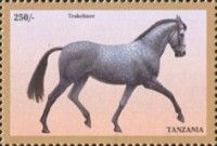 Trakehner