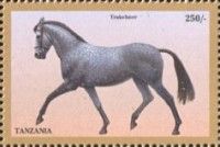 Trakehner
