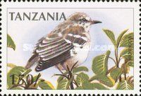 Northern Mockingbird (Mimus polyglottos)