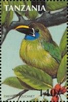 Northern Emerald-Toucanet (Aulacorhynchus prasinus)