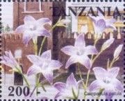 Campanula patula