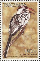 Tanzanian Red-billed Hornbill (Tockus erythrorhynchus)