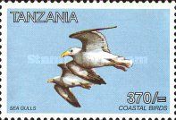 Lesser Black-backed Gull (Larus fuscus)