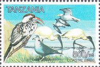 Hornbill