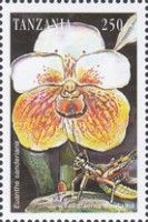 Euanthe sanderiana, Teirataenia surinama