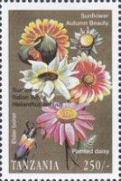 Sunflowers, “Autumn Beauty” & “Italian White,”