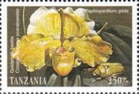 Goldsmith beetle, Paphiopedilum gilda