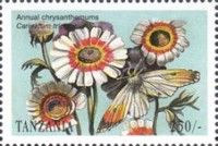Annual Chrysanthemums (Carinatum tricolor)