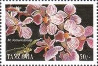 Little Mal Phalaenopsis, M. femurrubrum