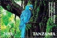 Hyacinth Macaw (Anodorhynchus hyacinthinus)