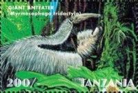 Myrmecophaga tridactyla