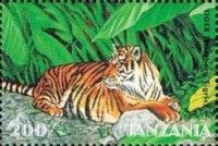 Panthera tigris