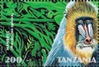 Mandrill (Mandrillus sphinx)
