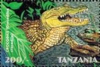 Crocodylus niloticus