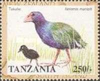 North Island Takahē (Notornis mantelli)