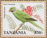 Echo Parakeet (Psittacula echo)