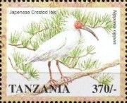 Japanese Crested Ibis (Nipponia nippon)