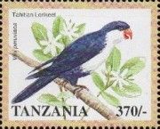 Blue Lorikeet (Vini peruviana)