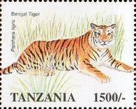 Tiger (Panthera tigris)