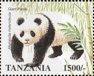Giant Panda (Ailuropoda melanoleuca)