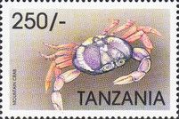 Mountain crab