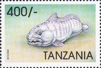 Wolffish