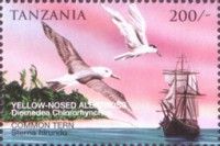 Diomedea chlororhynchos, Sterna hirundo