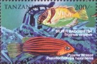 Siganus virgatus, Pseudocheilinus hexataenia