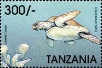 Caretta caretta