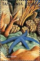 Blue starfish