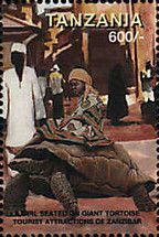Girl on tortoise, street in Stone Town