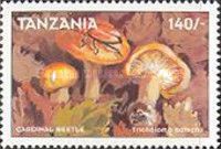 Tricholoma batschii