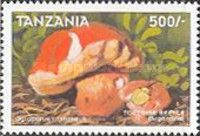 Gyroporus castaneus