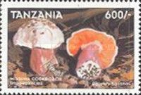 Boletus satanus