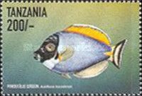Powderblue Surgeonfish (Acanthurus leucosternon)