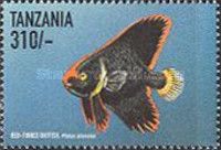 Platax pinnatus