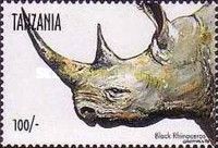 Black Rhinoceros (Diceros bicornis)