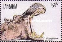 Hippopotamus (Hippopotamus amphibius)