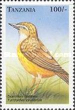 Common Babbler (Turdoides caudatus)