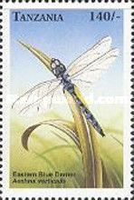 Green-striped Darner (Aeshna verticalis)