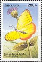 Orange-barred Sulphur (Phoebis philea)