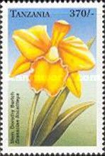 Brassolaeliocattleya Mem. Dorothy Bertch
