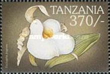 Trichopilia fragrans