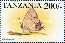 The red-banded hairstreak (Calycopis cecrops)